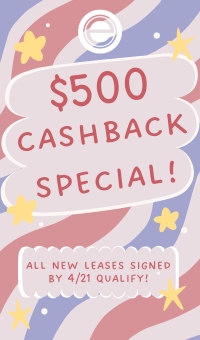 $500 CASHBACK SPECIAL!